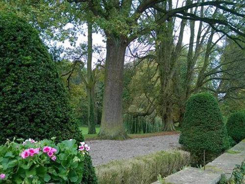 Le Château D'Osthoffen Exterior foto